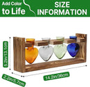 Plant Propagation Stations Heart Plant Terrarium Kit Gift for Women Plant Lover Glass Vases by GreenHaven Gardens