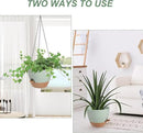 Hanging Planters for Indoor Outdoor Plants, 1 Set Self Watering Hanging Pot with Drainage Holes & Removable Tray (Green-12inch, 12'') by CozyNest Decor