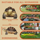 Sunthus Turtle Tortoise Sculptures Garden Statues Yard Art Resin Decorations Outdoor Garden Décor by GreenHaven Gardens