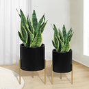 ARNIS Modern Planter Pots, Set of 2 Round Large Planters with Stand, Decorative Planters, Metal Pots with Drainage Holes for Living Room, Office, Garden or Balcony, 8.25 &10.5 Inch, Black & Gold by CozyNest Decor