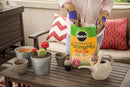 Miracle-Gro Cactus, Palm & Citrus Potting Mix, 8 qt. (3-Pack) by GreenHaven Gardens