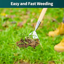 Berry&Bird Dutch Hoe for Weeding，63'' Stainless Steel Garden Weed Hoe with Long Wooden Handle,Heavy Duty Scuffle Hoe Manual Weeder Tool for Gardening Moss Removal Cutting Grass Soil Loosening & Edging by GreenHaven Gardens