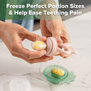 Haakaa Baby Fruit Food Feeder & Mini Freezer Nibble Tray Combo, Breastmilk Popsicle Molds for Baby Cooling Relief, BPA Free Silicone Feeder for Safe Infant Self Feeding, 4 Month+ (Blush) by TinyTreasures Baby Boutique