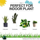 WhaleLife Indoor Watering Can for House Bonsai Plants (1.4L, Green) by GreenHaven Gardens