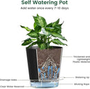 4 inch Self Watering Pots for Indoor Plants, 5 Pack Small Flower Plant Pots with Drainage Holes and Clear Reservoirs, Visible Water Level, Plastic Planters with Wicking Rope, Black by CozyNest Decor