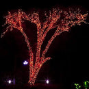 DAZZLE BRIGHT Halloween 300 LED String Lights, 100FT Connectable String Lights with 8 Lighting Modes, Halloween Decorations for Party Carnival Supplies, Indoor Outdoor Yard Garden Decor (Orange) by CozyNest Decor