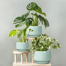 G EPGardening Ceramic Pots for Plants - 9 Inch Ceramic Planter with Drainage and Saucer, Round Planter for Indoor Outdoor Plants, Modern Flower Pots, Garden Decor, Birthday Gifts, Green by GreenHaven Gardens