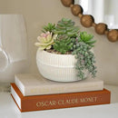 DILATATA Artificial Succulent Plants in Pot 5.5 Inch Fake Succulents Arrangement Potted Plant in White Ceramic Planter Bowl for Home Office Desk Shelf Living Room Bedroom Bathroom Decor by GreenHaven Gardens
