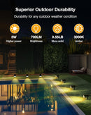 Solar Power Spotlight Outdoor Waterproof Landscape LED Accent Lighting for Yard, Tree, Plants, Walls, Path, Garden, Statues, Adjustable Brightness,Dusk to Dawn Long Lasting 6 Pack Warm White by GreenHaven Gardens