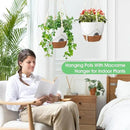 Hanging Planters for Indoor Outdoor Plants, 2 Pack Self Watering Hanging Pot with Drainage Holes, Removable Tray & 2 Kinds of Plant Hangers, 10'' Hanging Flower Pots for Home Garden Decor, White by GreenHaven Gardens