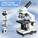 Microscope for Adults Professional, Compound Microscope for Kids 8-12, 100X-3000X High-Power Biological Microscope for Students, School Lab & Home Education, with Slides Set by TinyTreasures Baby Boutique