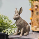 DiliComing Grey Resin Rabbit Garden Statue - Large Garden Statues for Home Yard Decor Garden Statues for Outside Balcony Bunny Decor for Garden Gifts 9 × 5 × 12 Inch by CozyNest Decor