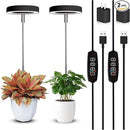 Grow Lights for Indoor Plants Small Potted - Full Spectrum, Auto 3/9/12H Timer, 10-Level Dimming & Adjustable Height - Compact Grow Light for Succulents, Herbs, Foliage in Home/Office (Black,2PACKS) by GreenHaven Gardens