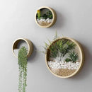 3 Pack Set Wall Planters,Modern Round Glass Wall Planter Succulent Planter Circle Iron Hanging Planter Vase for Herb,Small Cactus Perfect for Balcony, Room and Patio Decor (Gold) by GreenHaven Gardens
