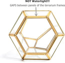 Golden Geometric Glass Terrarium with Door - 9.8" Tall Irregular Clear Planter for Succulents,Ferns,Moss,Cacti | Indoor Fairy Garden,Tabletop Display,Wedding Home Decoration (Plants Not Included) by GreenHaven Gardens