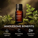 Gya Labs Coriander Essential Oil for Diffuser - 0.34 Fl Oz - 100% Pure Natural Coriander Oil for Skin, Aromatherapy, Skincare Massages & Candle Making Scent by CozyNest Decor