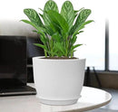 12/10/9 Large Modern Plant Pots, Plastic Planters with Drainage Holes and Saucers for Indoor Outdoor Plants Flowers, White by GreenHaven Gardens