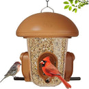 LONA Bird Feeders for Outdoors Hanging – 3 Separate Compartments, 3 Feeding Ports, Weatherproof Dome & 3 Ways to Hang, Large Capacity for Cardinals/Finches (Brown by CozyNest Decor