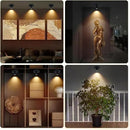 Cordless Spotlight Battery Powered, Indoor Plant Spot Light, Rechargeable Picture Lights with Remote, LED Accent Lighting, Dimmable Display Uplight for Tree Dartboard Decor Painting Art Photo by CozyNest Decor