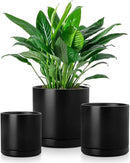 vancasso Ceramic Plant Pots, 3 Piece Planters for Indoor Plants, 4.25+5.25+6.25 Inch Flower Pots with Drainage, Plant Pots Indoor for Succulent, Pothos, Snake Plant and Money Tree, Etc (Black) by GreenHaven Gardens
