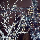 HOME LIGHTING 66ft Christmas Decorative Mini Lights, 200 LED Green Wire Fairy Starry String Lights Plug in, 8 Lighting Modes, for Indoor Outdoor Xmas Tree Wedding Party Decoration (White) by TinyTreasures Baby Boutique