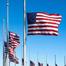 AZCOVER American Flag 8x12 FT Us Flag for Outside USA Heavy Duty Nylon American Flags for Outdoor with Embroidered Stars Sewn Stipes and Brass Grommets All Weather Lasting United States Flag by GreenHaven Gardens