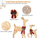 2 Pcs Reindeer Christmas Decoration, Xmas Lighted Golden Shimmering Doe and Fawn Display Set with 105 Warm White Lights for Yard Lawn Indoor Outdoor by CozyNest Decor