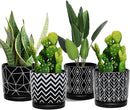 Ton Sin Flower Pots,5.5 Inch Black Ceramic Planter with Drainage Hole,Indoor Cylinder Plant Pots with Saucer,Cactus Succulent Outdoor Garden Pots Set of 4 by GreenHaven Gardens