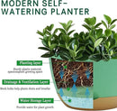 10 Inch Pots for Indoor Plants, Large Self Watering Planters with Drainage and Saucers, Plastic Outdoor Flower Pot, Set of 2, Green by GreenHaven Gardens