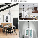 WUZUPS Chandelier Rustic Farmhouse Industrial Round Ceiling Pendant LED Light Fixture with Clear Glass Shades for Dining Room Kitchen Island Foyer Entryway, H 17" x W 13.4", E26 Base, Black by CozyNest Decor