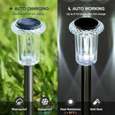 DenicMic Solar Lights Outdoor Pathway Lights 6000K LED Waterproof Acrylic Lamp Head Stainless Steel Stake for Yard Garden Landscape Path Walkway Driveway Patio Lawn (15Pack Cold White) by GreenHaven Gardens