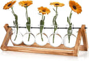 Retro Wood Stand Plant Terrarium with 5 Air Planter Bulb Glass Vases, Perfect for Home, Office, or Wedding Decor. Great Desktop Propagation Station and Plant Lover Gift for Women (5 Bulb Vase) by CozyNest Decor