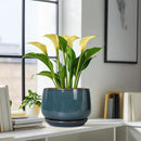 G EPGardening Ceramic Plant Pots - 9 Inch Round Modern Planter Indoor with Drainage and Tray for Indoor Outdoor Flower, Office Decor, Gardening Gifts, Retro Blue by GreenHaven Gardens