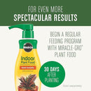 Miracle-Gro Houseplant Potting Mix, for Indoor Container Plants, Feeds for up to Six Months, 4 qt. (3-Pack) by GreenHaven Gardens
