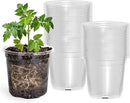 50 Packs 4 Inch Reinforced Clear Nursery Pots with Drainage Hole, Transparent Variety Pack Plastic Plant Pot Seedling Planter Seed Starter Flower by GreenHaven Gardens