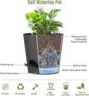 4 inch Self Watering Pots for Indoor Outdoor Plants, 6 Pack Plastic Flower Planters with Drainage Holes and Removable Saucers, Plant Pots with Wicking Rope, Modern Decor, Black by GreenHaven Gardens