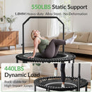 BCAN 40"/48" Mini Rebounder Trampoline for Adults with Bar, 450/550LBS Fitness Trampoline with Bungees, Adjustable Handle, Stable & Quiet, Indoor Outdoor, Whole-Body Workout & Relaxation at Home by TinyTreasures Baby Boutique