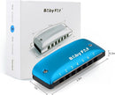 BabyFat 7 Hole Blues Mini Harmonica Set,Diatonic Harmonica with free lanyards,Gifts for Kids and Beginners,Easy-playing Musical Instrument(A Key） by TinyTreasures Baby Boutique