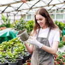 24 pcs 5/6 inch Clear Nursery pots for Plants,Thick Plastic Clear Plant pots with Drainage Holes and Saucers for Orchids,Succulents etc,Outdoor or Indoor use by GreenHaven Gardens