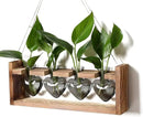 Plant Propagation Stations Heart Plant Terrarium Kit Gift for Women Plant Lover Glass Vases by GreenHaven Gardens