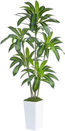 Artificial Dracaena Tree Artificial Silk Tree Faux Tree Fake Tropical Yucca Floor Plant with White Tall Planter (1, White Tall Planter, 6FT) by CozyNest Decor