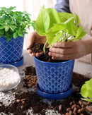 EFISPSS Ceramic Plant Pots, 5Inch Pots for Indoor Plants, Planters with Drainage Holes and Ceramic Tray,Plant Lover Gift, Desktop Office Windowsill Decoration Gift Set of 4 - Blue by GreenHaven Gardens
