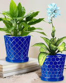 EFISPSS 6 Inch Pots for Indoor Plants,Ceramic Plant Pots,Planters with Drainage Hole and Saucer, Flower Pots Desktop Office Windowsill Decoration Gift Set of 2 - Sapphire Blue by GreenHaven Gardens