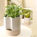Nihow Self Watering Plant Pot: 8 Inch Ceramic Planter with Drainage Hole & Water Storage Plus for Indoor & Outdoor Plants - Cylinder Round Flower Pot for Succulent/Herbs/Violets - White & Brown by CozyNest Decor
