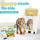 Toddlers Talking Flash Cards with American accent & 288 Sight Words, Speech Therapy Toys for 3 4 5 6 Years Old Boys and Girls, Learning Educational Montessori Sensory kit, Kids Birthday Gifts by TinyTreasures Baby Boutique
