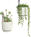 Wall Mounted Hanging Planter Vase & Geometric Wall Decor Polypropylene Container - Dia.5.91" - Sylinder Shape, White, Set of 2 by GreenHaven Gardens