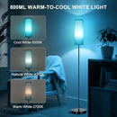 FRIDEKO HOME Floor Lamp for Bedroom, Tall Standing Lamps for Living Room, Modern Corner Floor Lamps for Living Room, 3CCT&Brightness Dimmable, 800 LM, RGB Smart Bulb, Foot Switch, Turquoise Lampshade by CozyNest Decor