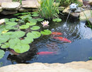 10 x 13 Feet Pond Liner, 20 Mil Pond Liners for Outdoor Ponds, Black LDPE Pond Liner for Waterfall, Fish Koi Ponds, Garden Fountain by GreenHaven Gardens