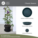 The HC Companies 21 Inch Round Plastic Classic Plant Saucer - Indoor Outdoor Plant Trays for Pots - 21"x21"x3.63" Evergreen by GreenHaven Gardens
