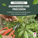 Saboten Japan 6.3" Automatic Japanese Harvesting Shears - Fine-Tipped Angled Blade, Magnetic Springless Action, Stainless Steel with Fluorine Coating, Ergonomic Grip - forest Originals, Made in Japan by GreenHaven Gardens